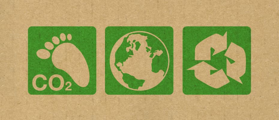 Cradle to Cradle – How to Avoid Green Washing
